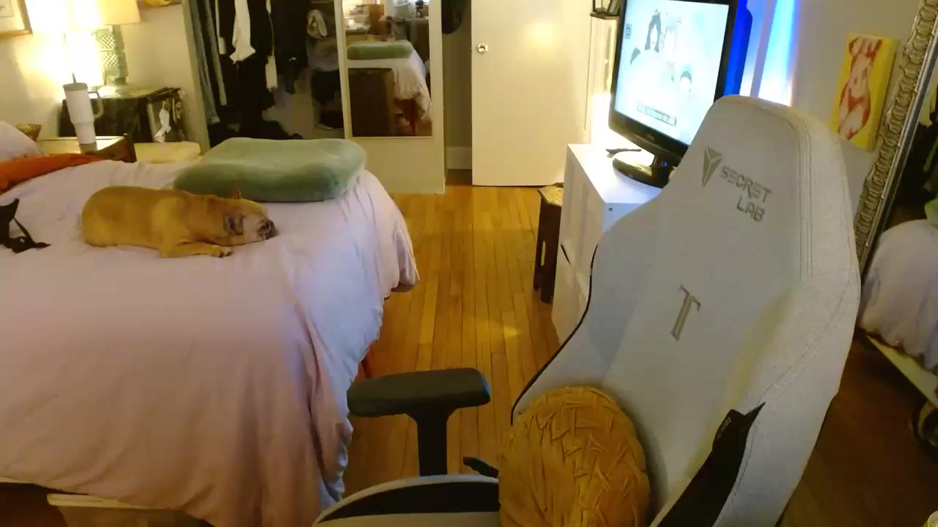 Gallery image thumbnail from Sweetestlilly's myfreecams stream on, 07/06/2024, 03:22 image 15 of 20