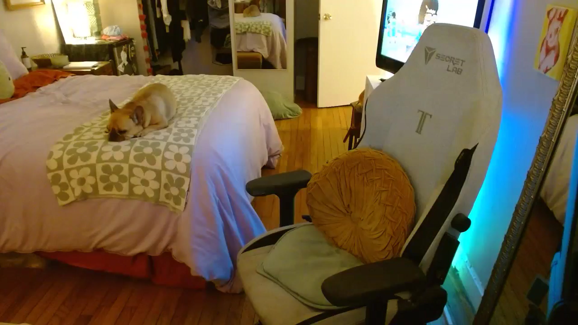 Gallery image thumbnail from Sweetestlilly's myfreecams stream on, 07/10/2024, 02:07 image 5 of 20