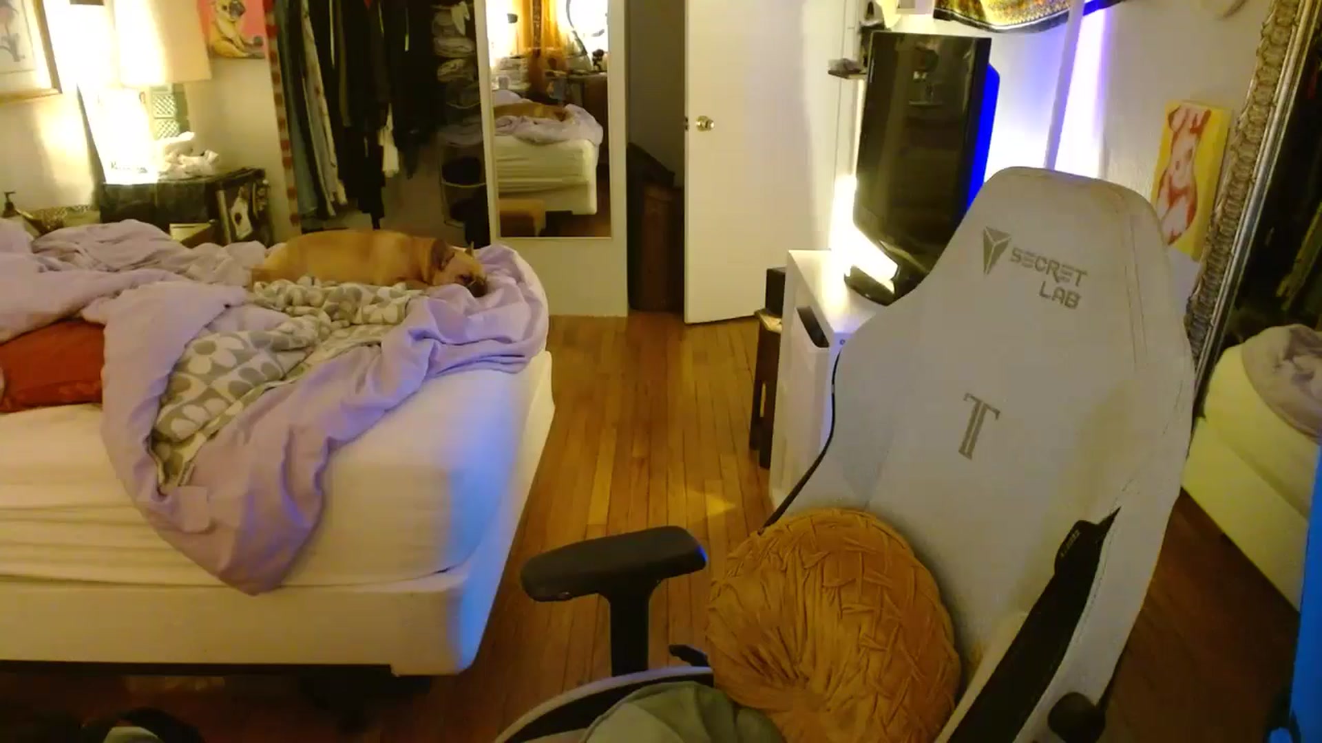 Gallery image thumbnail from Sweetestlilly's myfreecams stream on, 07/18/2024, 02:53 image 20 of 20