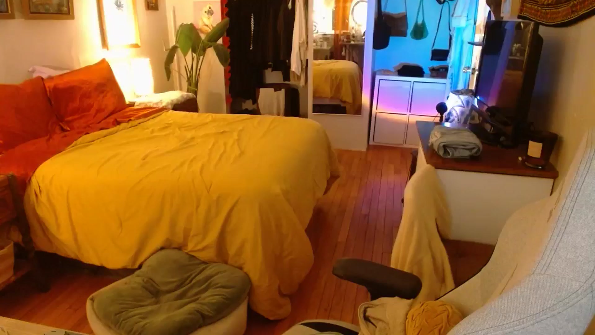 Gallery image thumbnail from Sweetestlilly's myfreecams stream on, 11/28/2024, 02:59 image 1 of 20