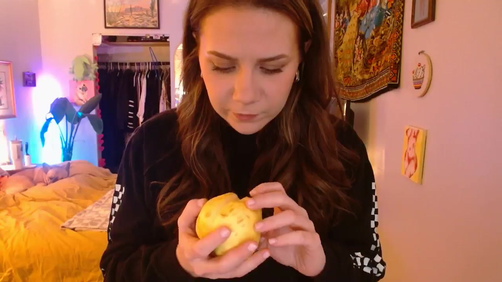 Gallery image thumbnail from Sweetestlilly's myfreecams stream on, 01/06/2025, 03:38 image 9 of 20