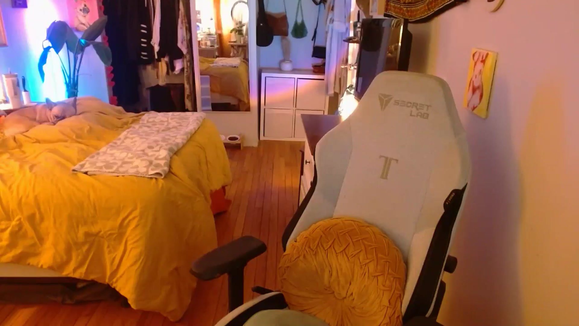 Gallery image thumbnail from Sweetestlilly's myfreecams stream on, 01/06/2025, 03:38 image 20 of 20