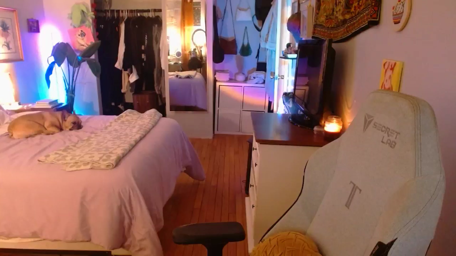 Gallery image thumbnail from Sweetestlilly's myfreecams stream on, 01/26/2025, 03:13 image 11 of 20
