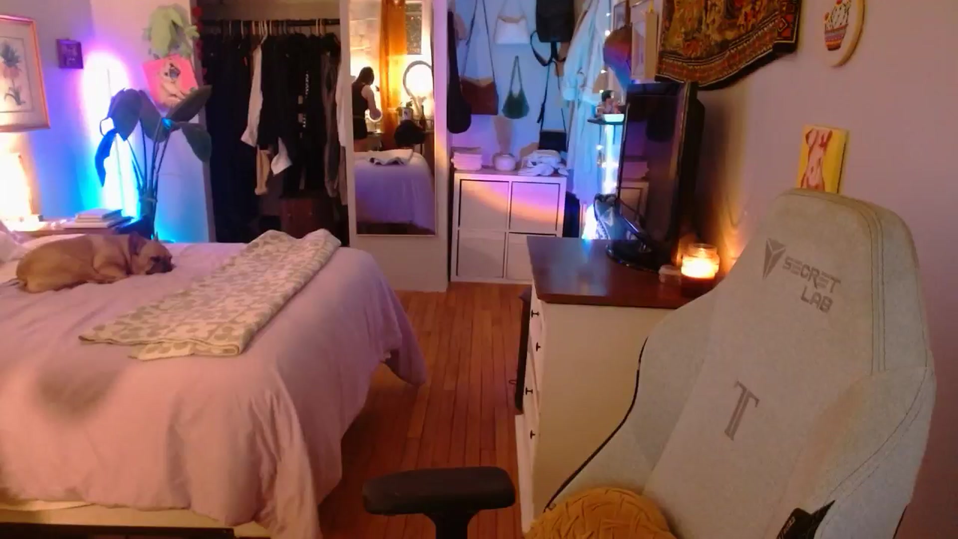 Gallery image thumbnail from Sweetestlilly's myfreecams stream on, 01/26/2025, 03:13 image 13 of 20