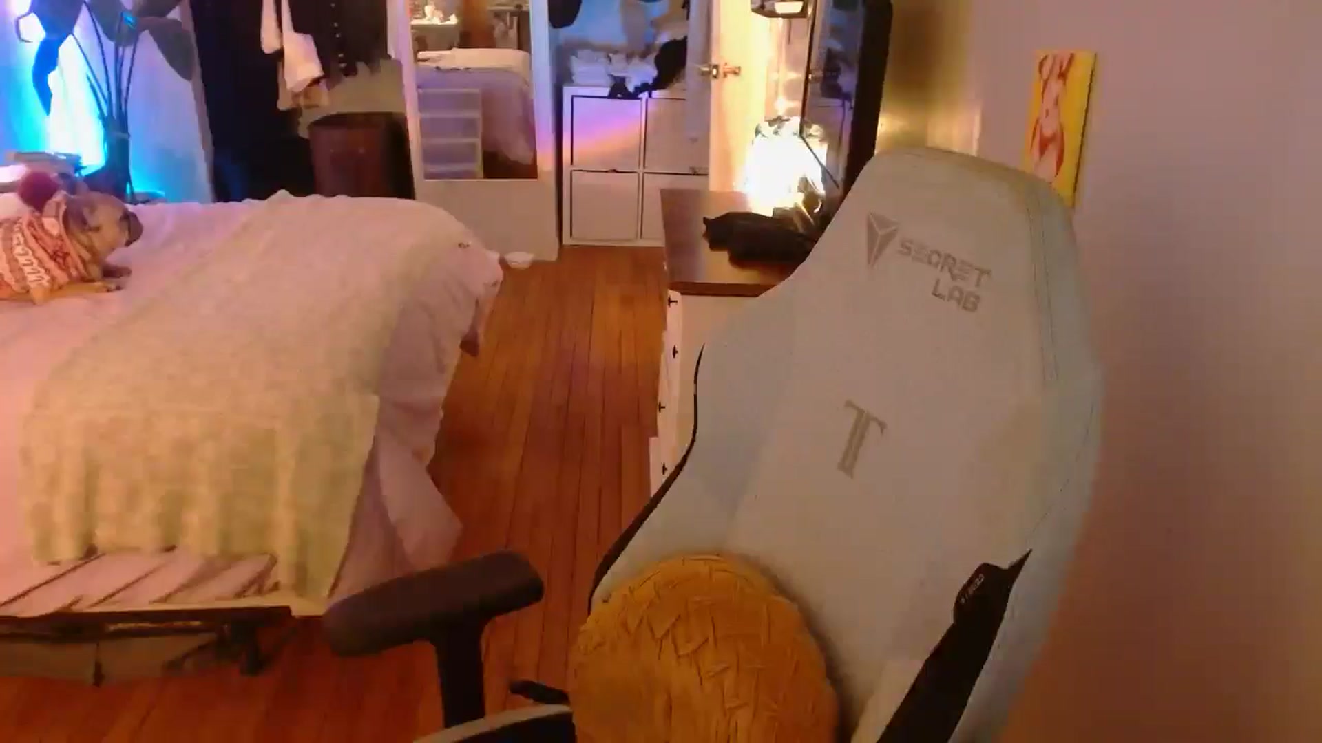 Gallery image thumbnail from Sweetestlilly's myfreecams stream on, 02/10/2025, 03:45 image 16 of 20