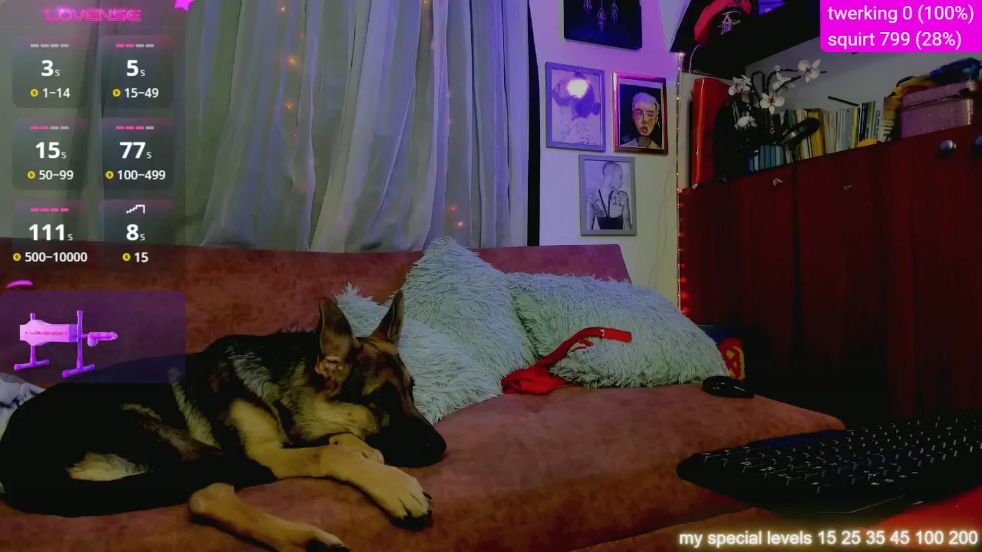 Gallery image thumbnail from Sweetevening's myfreecams stream on, 12/11/2024, 12:47 image 10 of 20