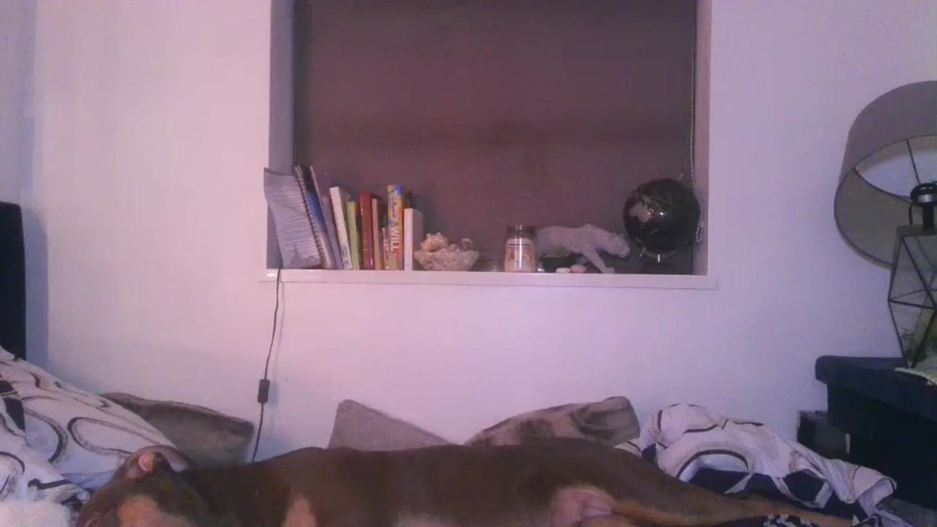 Gallery image thumbnail from SweetnSluttyx's myfreecams stream on, 01/02/2024, 02:32 image 19 of 20