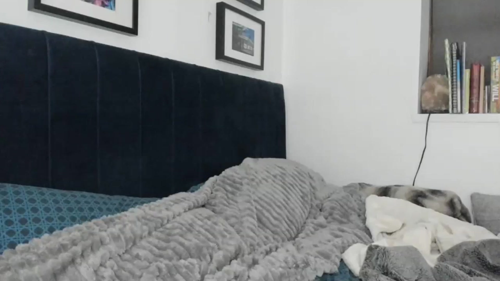 Gallery image thumbnail from SweetnSluttyx's myfreecams stream on, 01/19/2024, 02:08 image 18 of 20