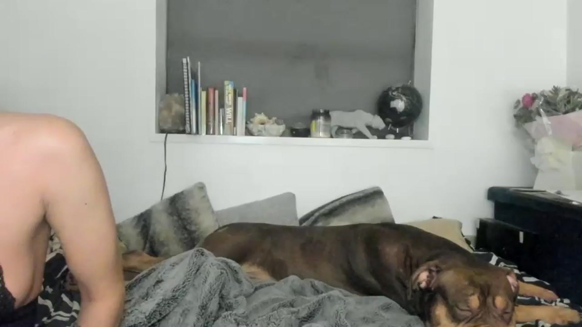 Gallery image thumbnail from SweetnSluttyx's myfreecams stream on, 02/14/2024, 01:07 image 14 of 20