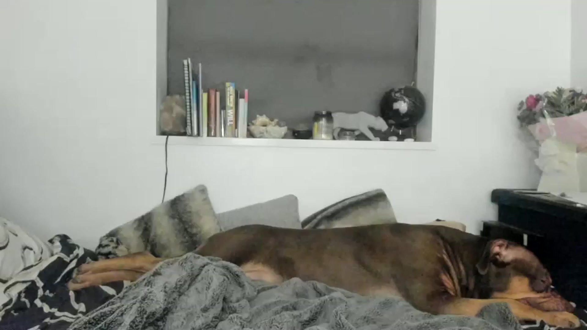 Gallery image thumbnail from SweetnSluttyx's myfreecams stream on, 02/14/2024, 01:07 image 13 of 20