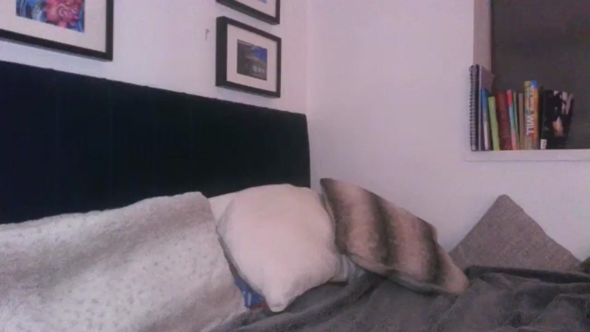 Gallery image thumbnail from SweetnSluttyx's myfreecams stream on, 05/20/2024, 23:31 image 18 of 20