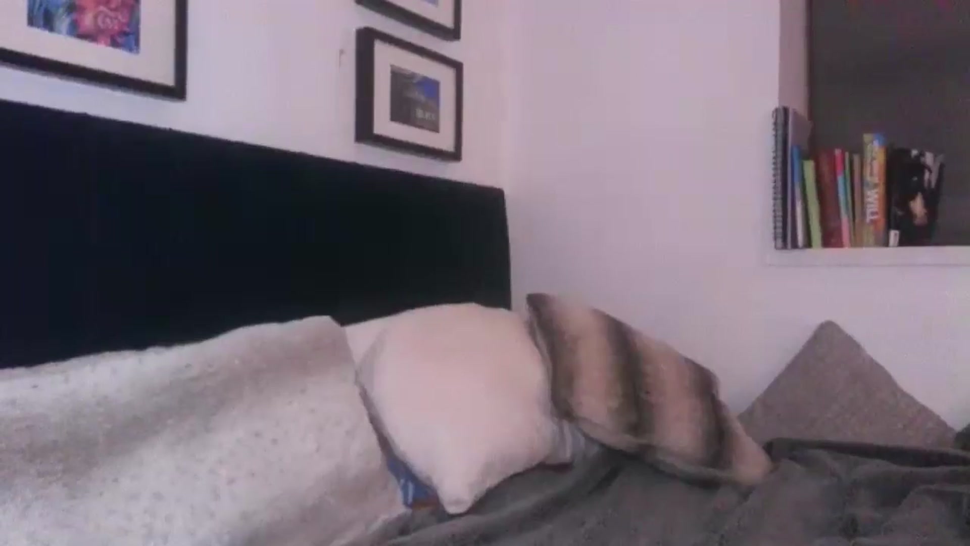 Gallery image thumbnail from SweetnSluttyx's myfreecams stream on, 05/20/2024, 23:31 image 19 of 20