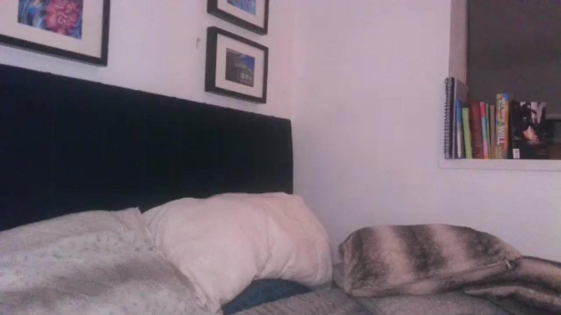 Gallery image thumbnail from SweetnSluttyx's myfreecams stream on, 05/24/2024, 02:09 image 17 of 20