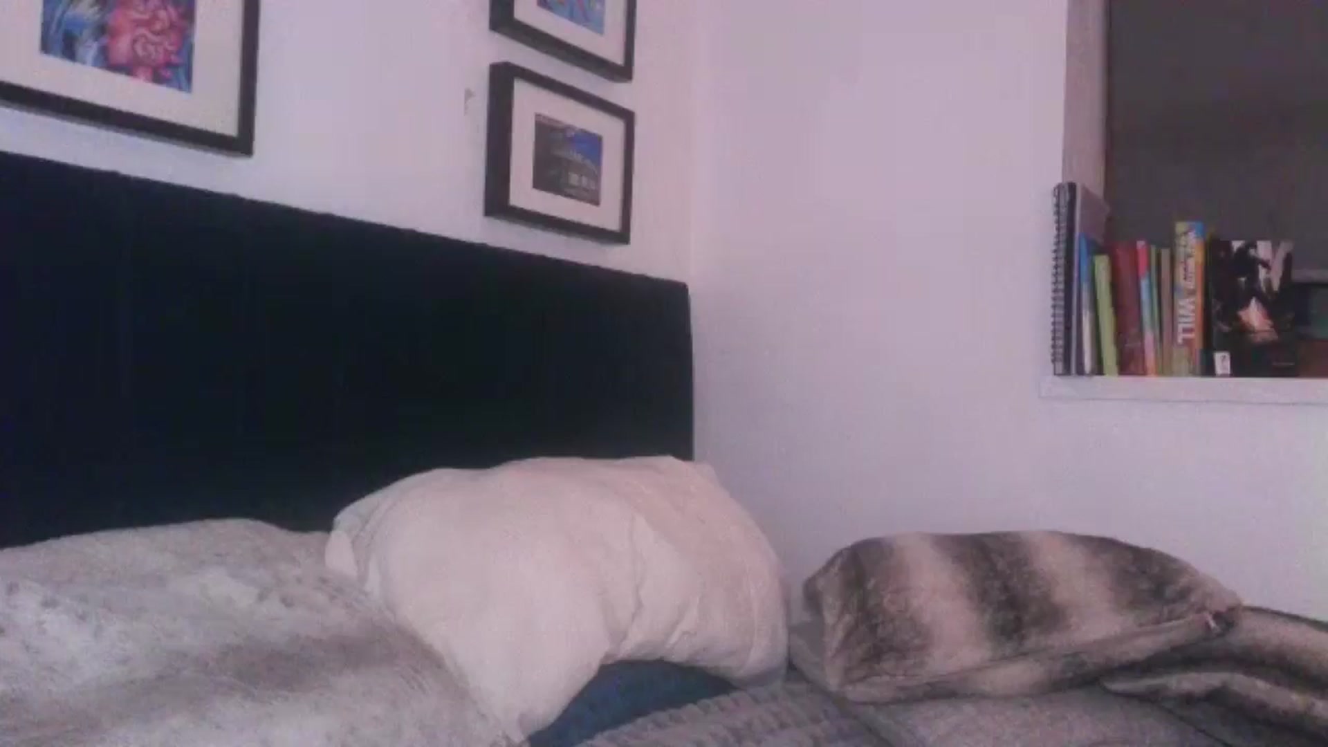 Gallery image thumbnail from SweetnSluttyx's myfreecams stream on, 05/24/2024, 02:09 image 13 of 20