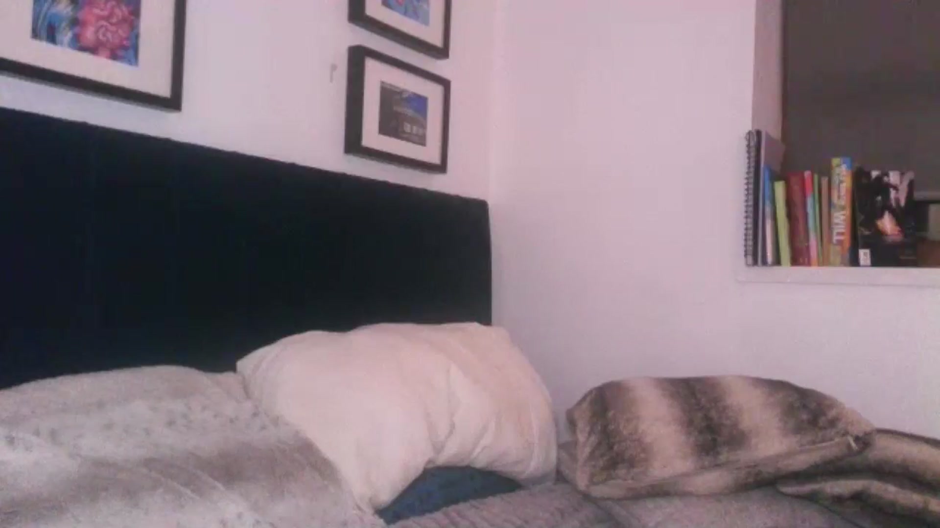Gallery image thumbnail from SweetnSluttyx's myfreecams stream on, 05/24/2024, 02:09 image 20 of 20