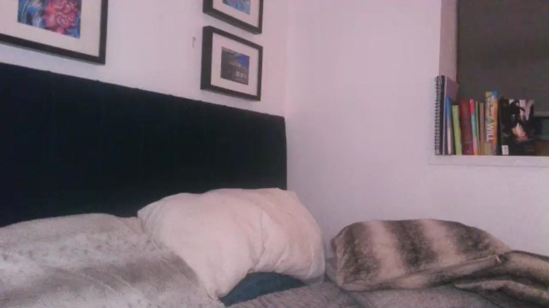 Gallery image thumbnail from SweetnSluttyx's myfreecams stream on, 05/24/2024, 02:09 image 19 of 20