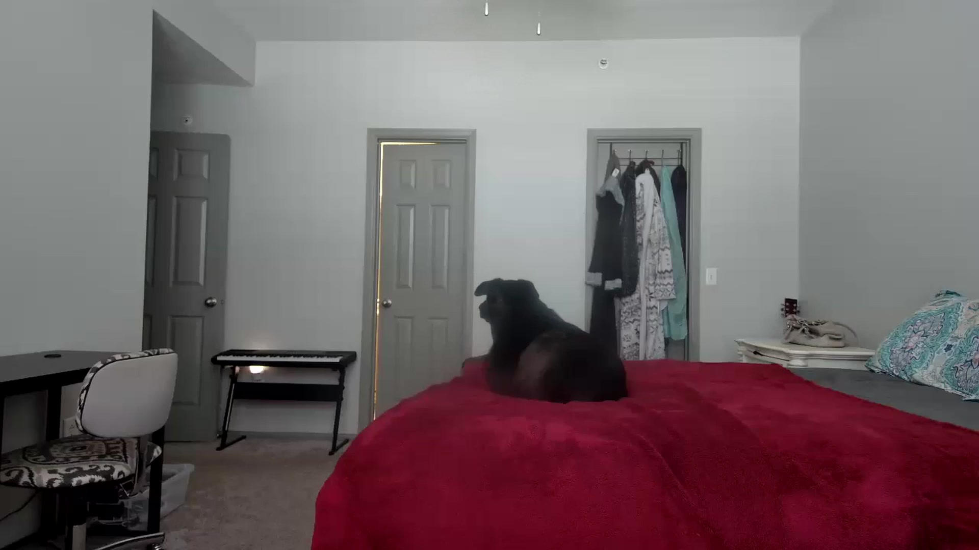 Gallery image thumbnail from Sweetncreamy's myfreecams stream on, 05/16/2025, 18:32 image 17 of 20
