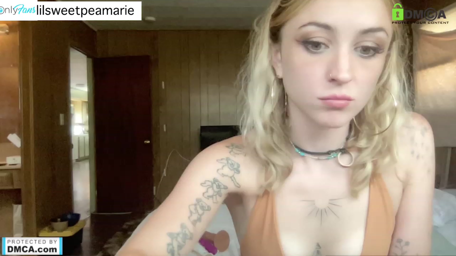 Gallery image thumbnail from SweetpeaMarie's myfreecams stream on, 08/04/2023, 22:46 image 11 of 20