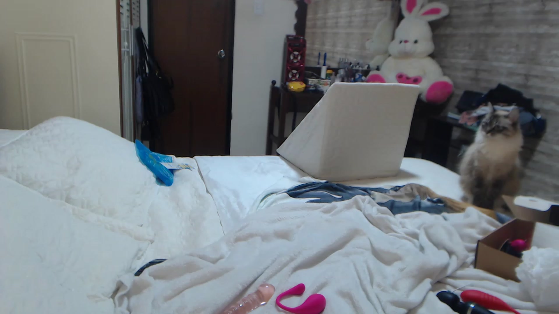 Gallery image thumbnail from Sweetsmile28's myfreecams stream on, 02/12/2024, 17:11 image 10 of 20