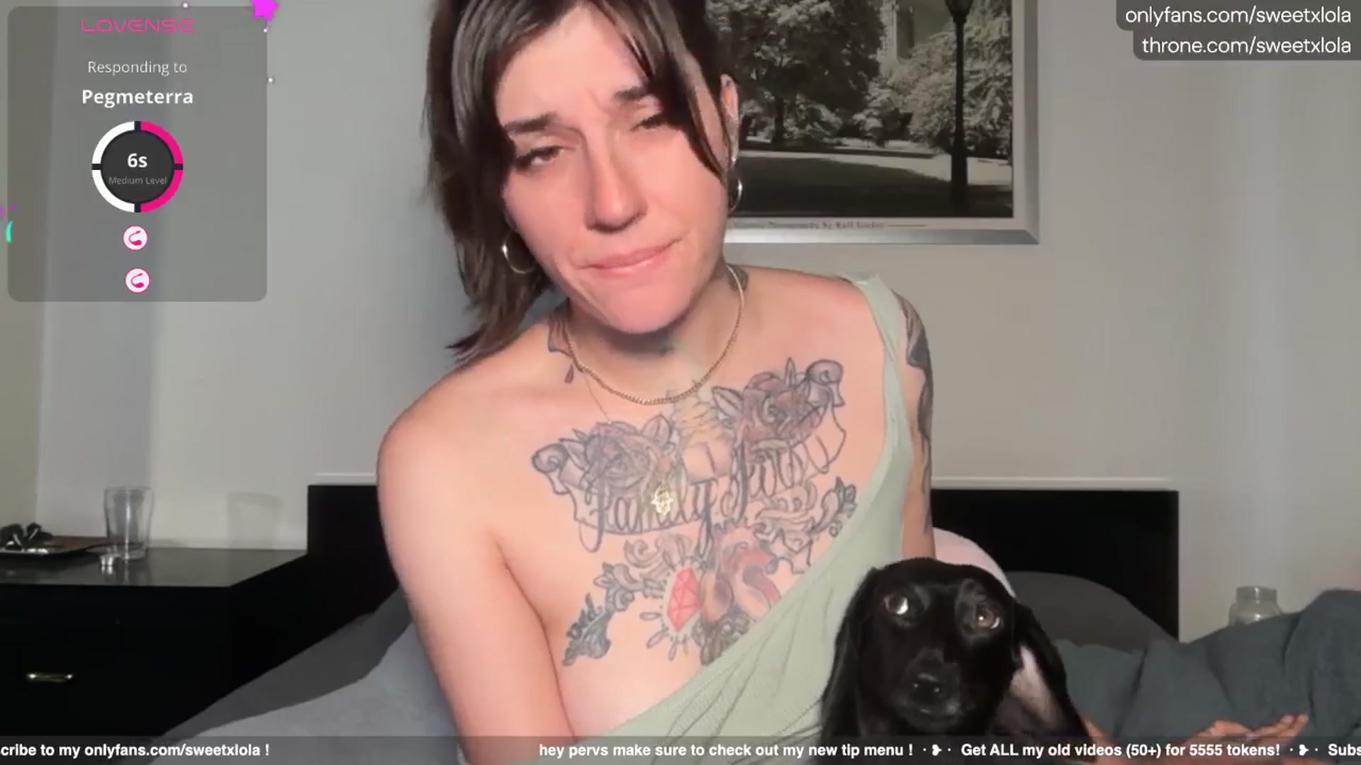 Gallery image thumbnail from SweetxLola's myfreecams stream on, 07/10/2025, 17:52 image 11 of 20