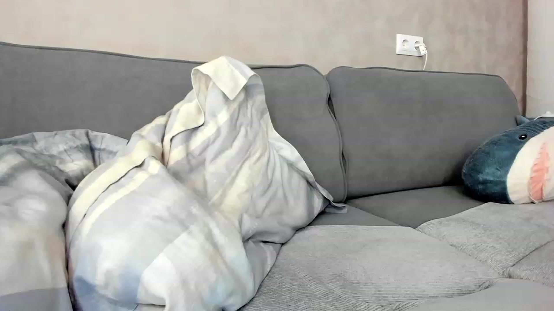 Gallery image thumbnail from SweetyAri's myfreecams stream on, 03/27/2023, 10:09 image 15 of 20