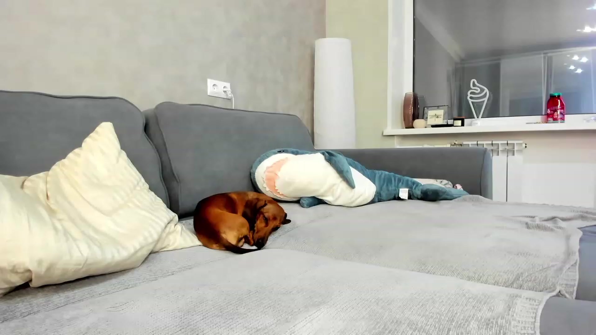 Gallery image thumbnail from SweetyAri's myfreecams stream on, 04/22/2023, 09:40 image 7 of 20