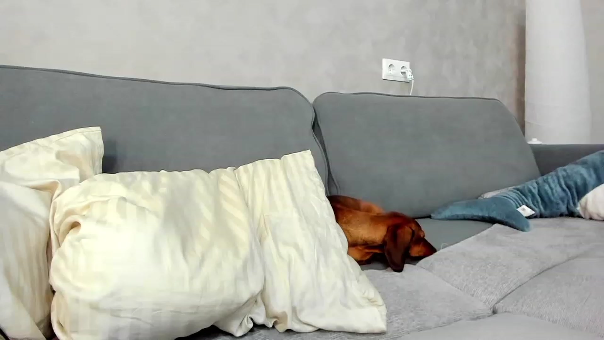 Gallery image thumbnail from SweetyAri's myfreecams stream on, 05/10/2023, 06:21 image 5 of 20