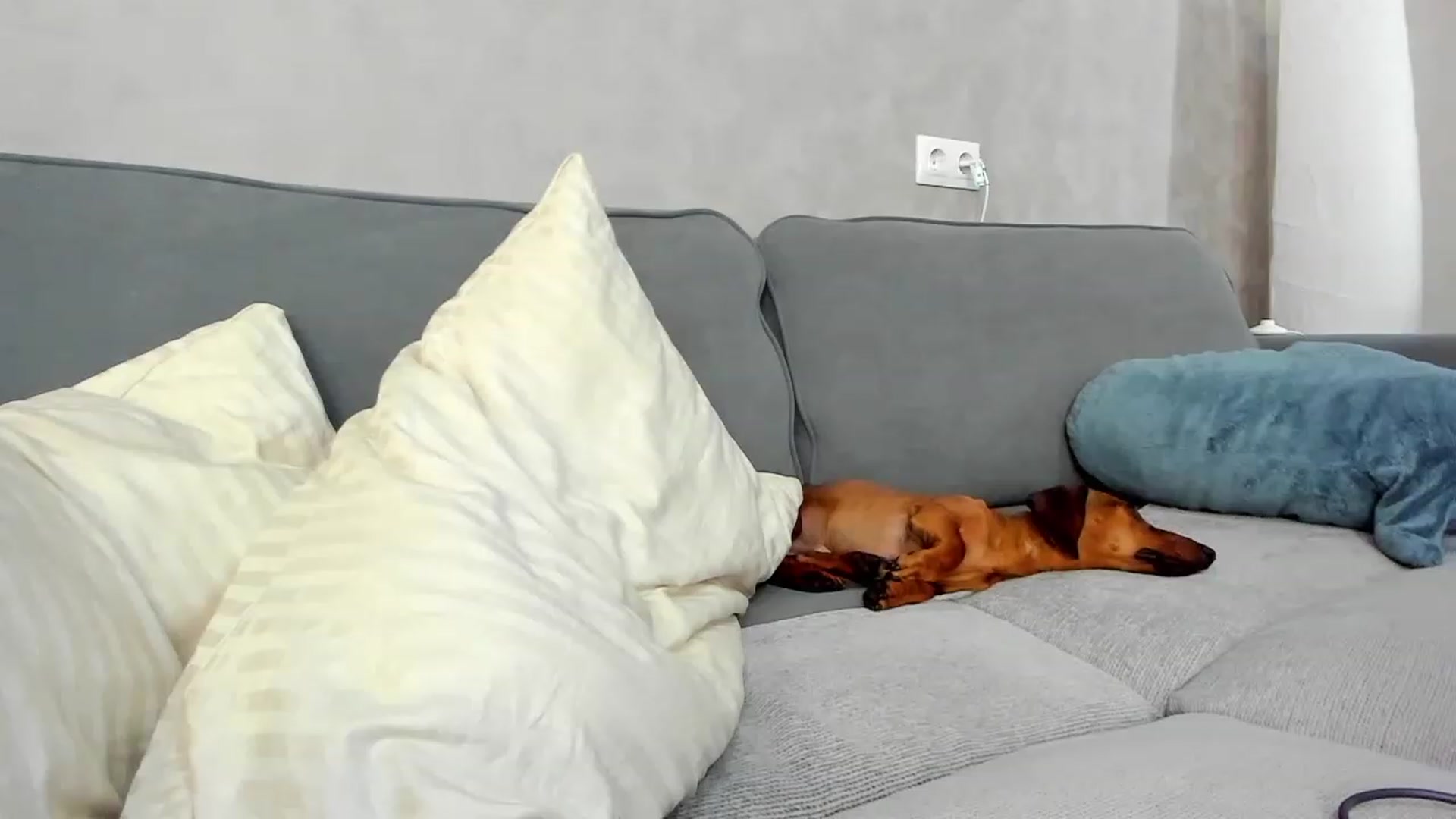 Gallery image thumbnail from SweetyAri's myfreecams stream on, 06/16/2023, 14:16 image 5 of 20