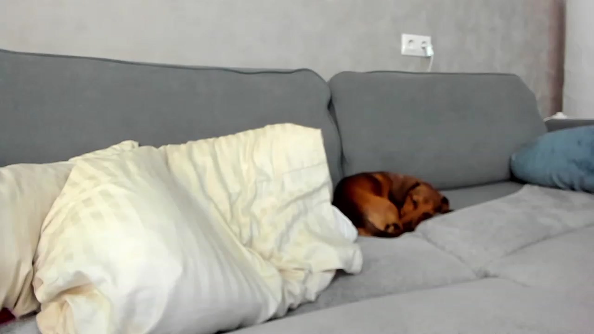 Gallery image thumbnail from SweetyAri's myfreecams stream on, 07/22/2023, 09:02 image 5 of 20