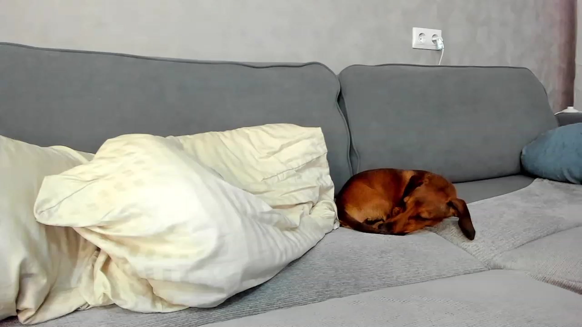 Gallery image thumbnail from SweetyAri's myfreecams stream on, 07/22/2023, 09:02 image 16 of 20