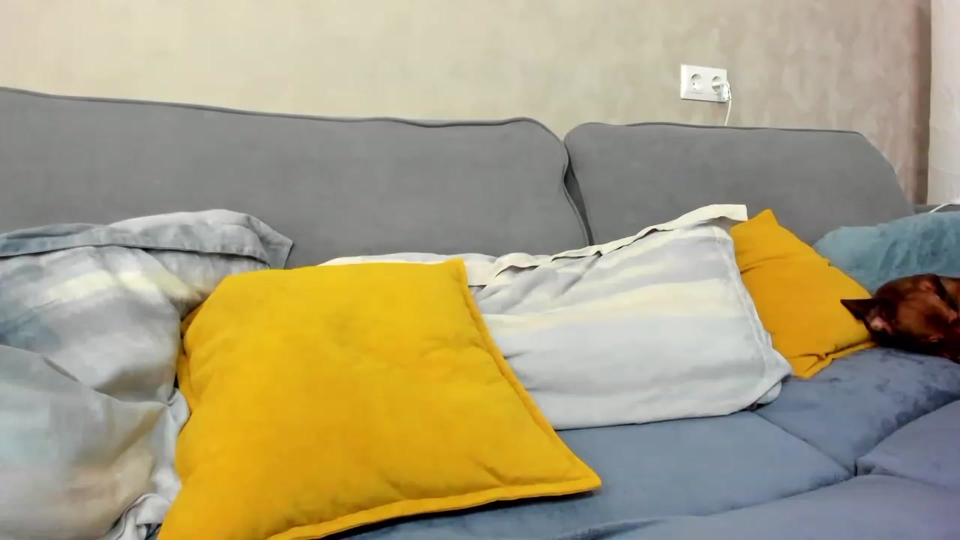 Gallery image thumbnail from SweetyAri's myfreecams stream on, 12/11/2023, 06:34 image 14 of 20