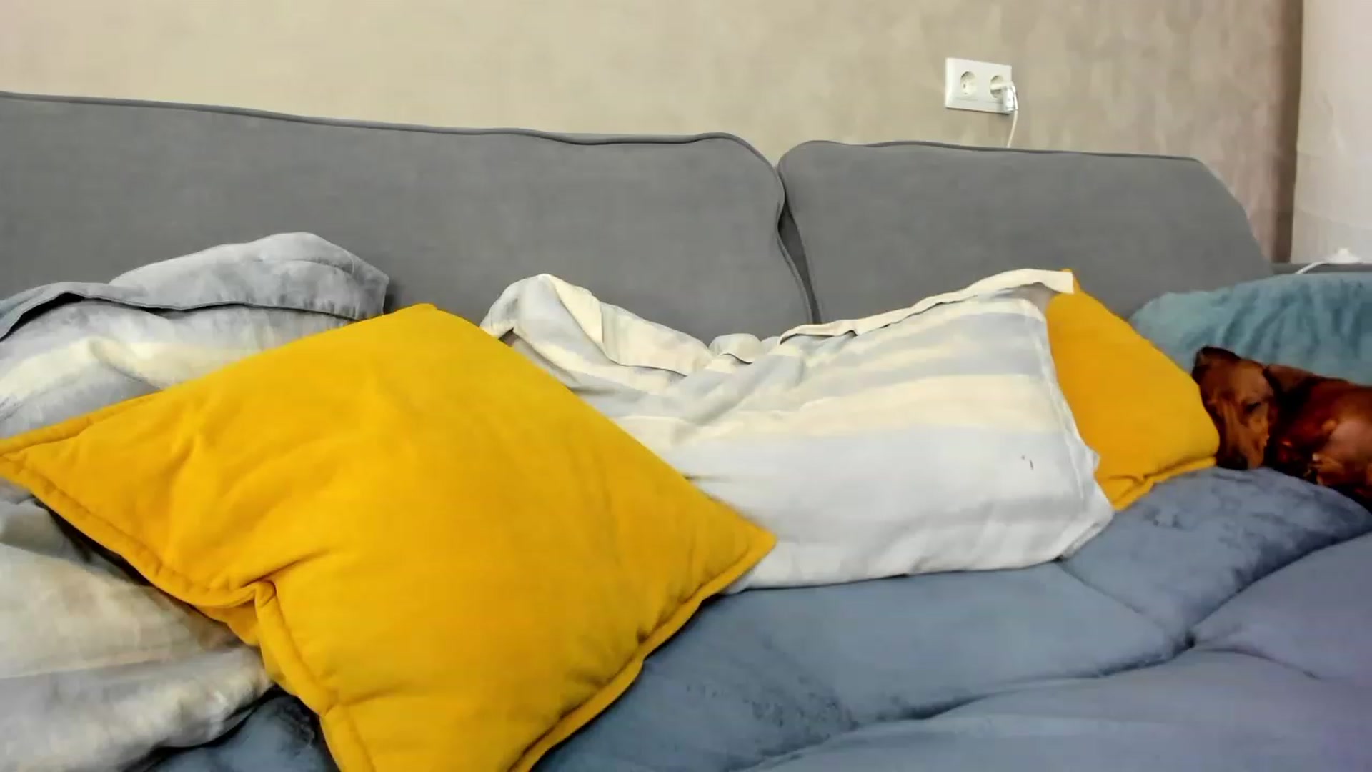 Gallery image thumbnail from SweetyAri's myfreecams stream on, 12/11/2023, 07:22 image 10 of 20