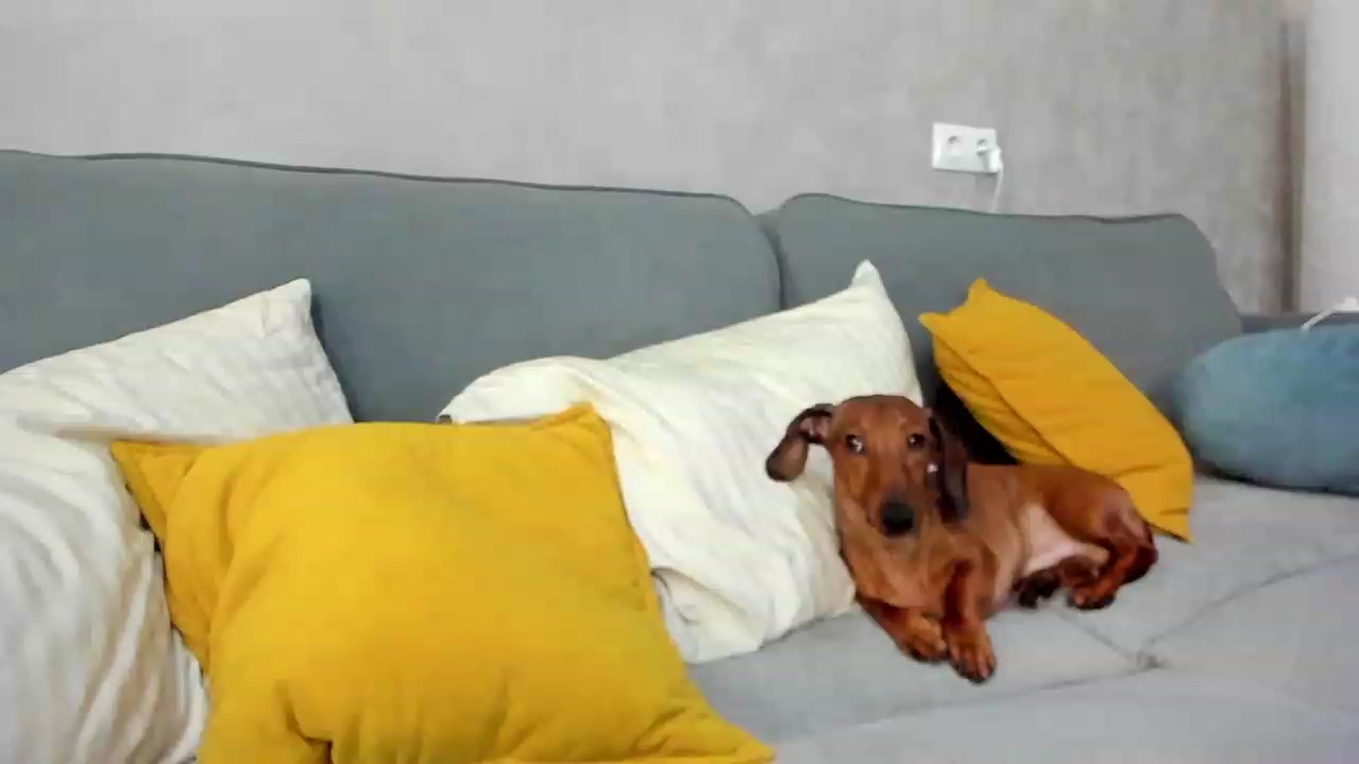 Gallery image thumbnail from SweetyAri's myfreecams stream on, 01/27/2024, 13:19 image 15 of 20
