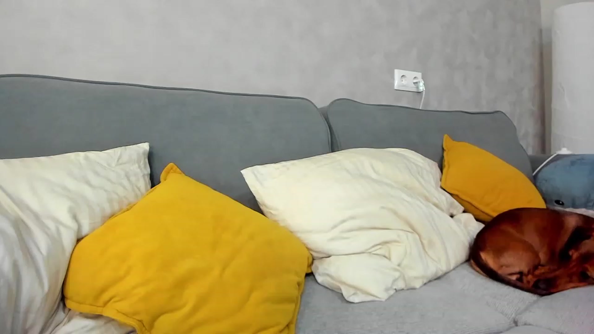 Gallery image thumbnail from SweetyAri's myfreecams stream on, 01/31/2024, 07:30 image 3 of 20
