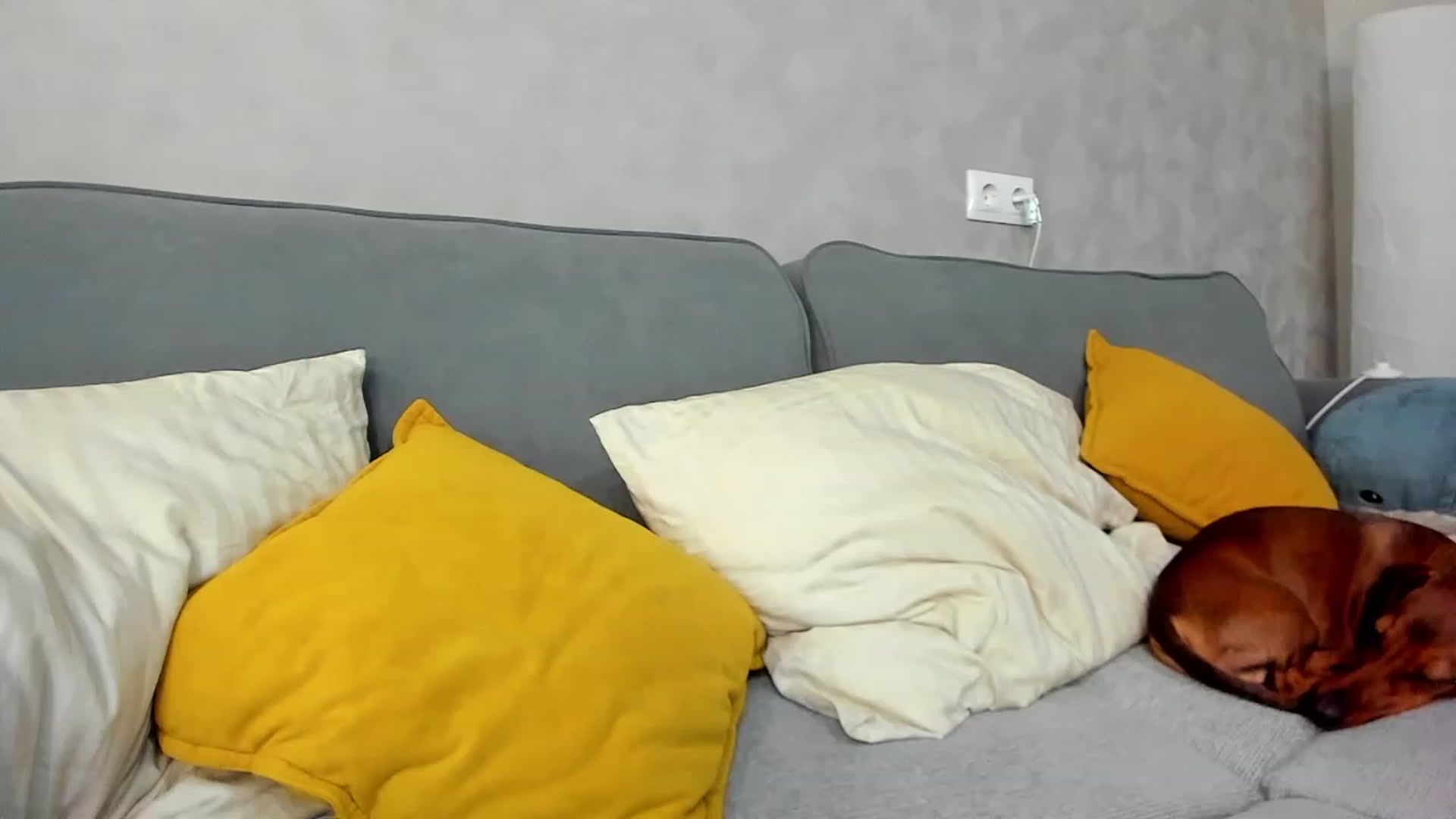 Gallery image thumbnail from SweetyAri's myfreecams stream on, 01/31/2024, 07:30 image 1 of 20