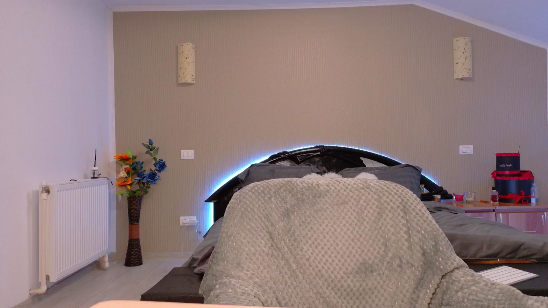 Gallery image thumbnail from SweetyKell's myfreecams stream on, 11/01/2025, 15:57 image 16 of 20