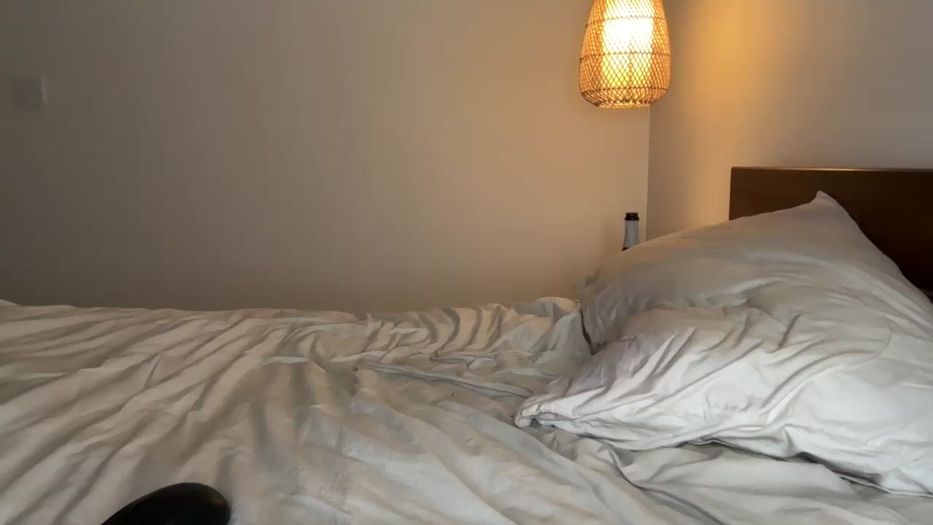 Gallery image thumbnail from Sweetyali's myfreecams stream on, 09/13/2024, 15:33 image 4 of 20