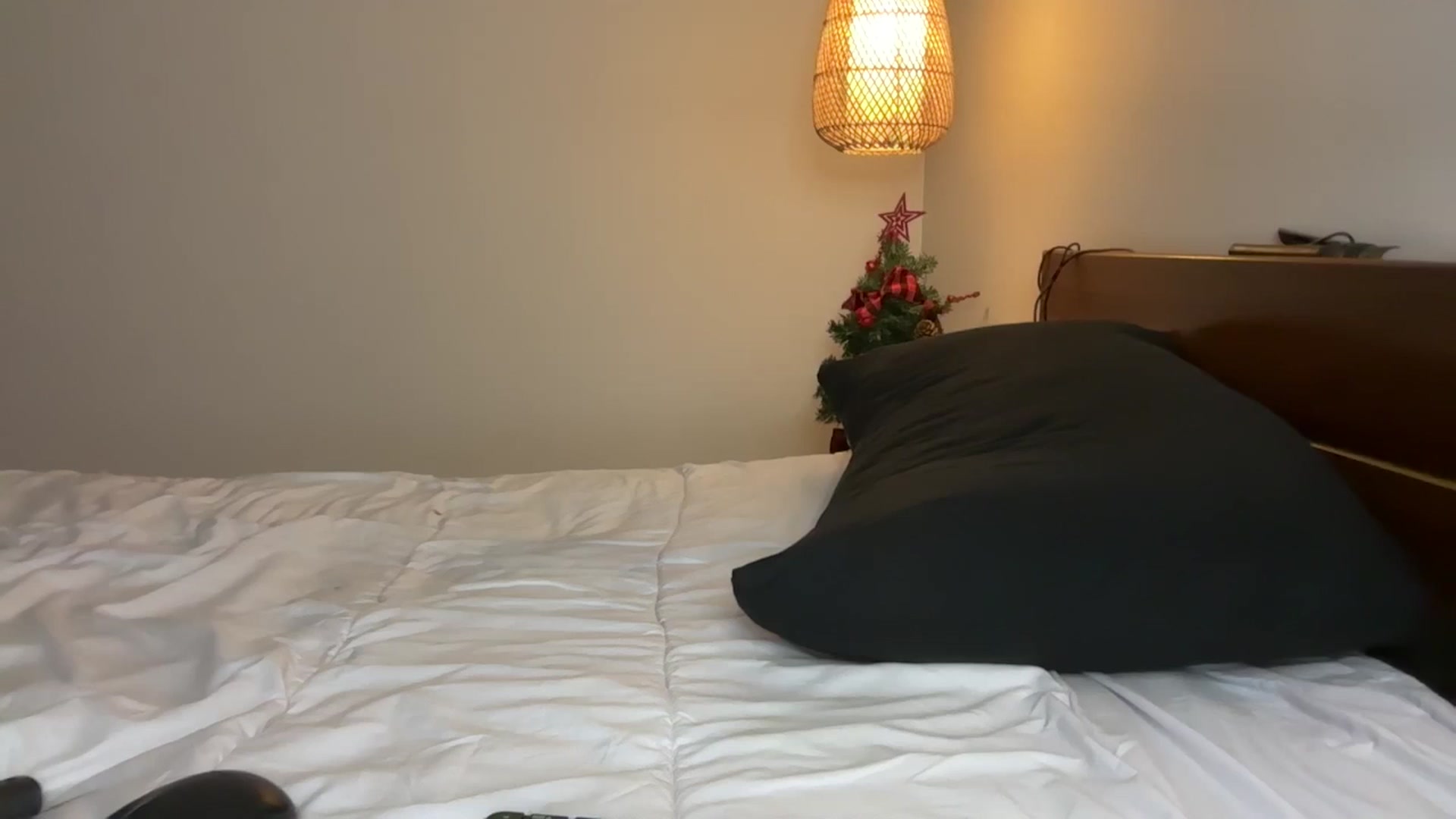 Gallery image thumbnail from Sweetyali's myfreecams stream on, 12/16/2024, 24:17 image 1 of 20