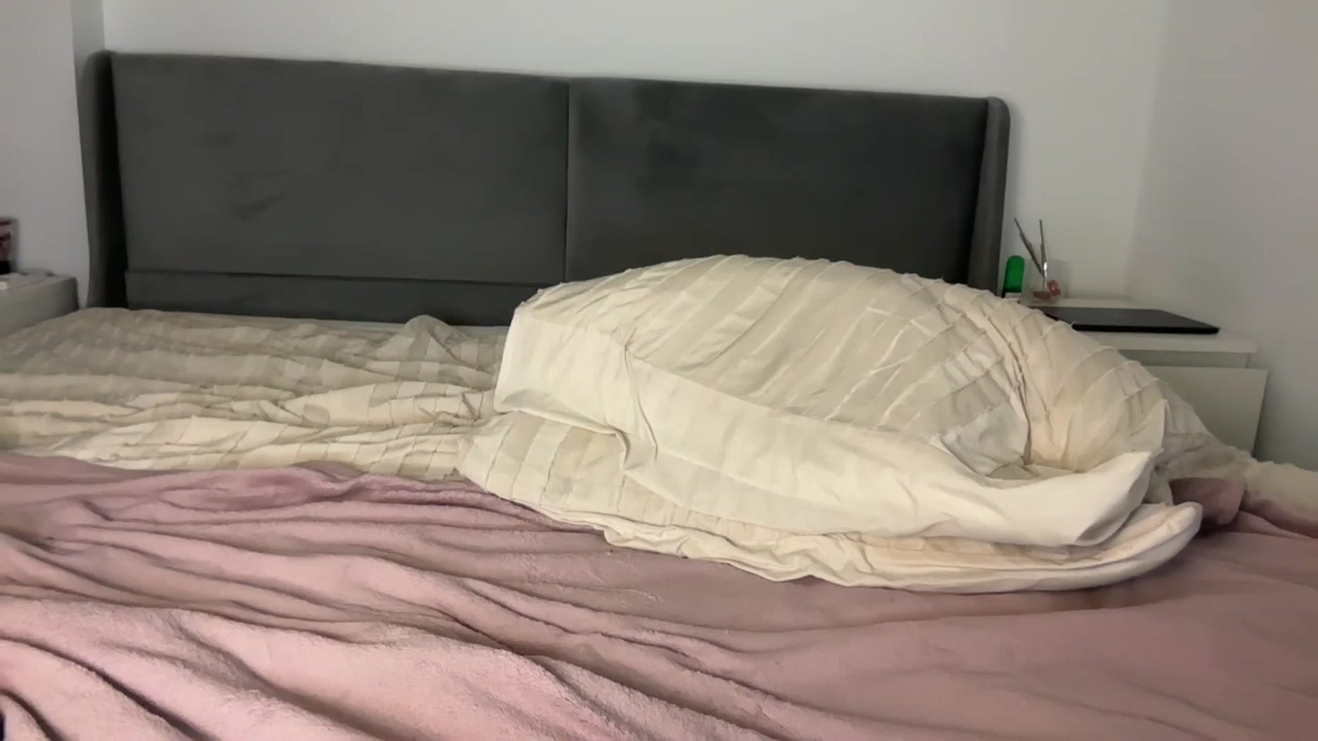 Gallery image thumbnail from Sweetylinaa's myfreecams stream on, 04/16/2026, 17:38 image 16 of 20