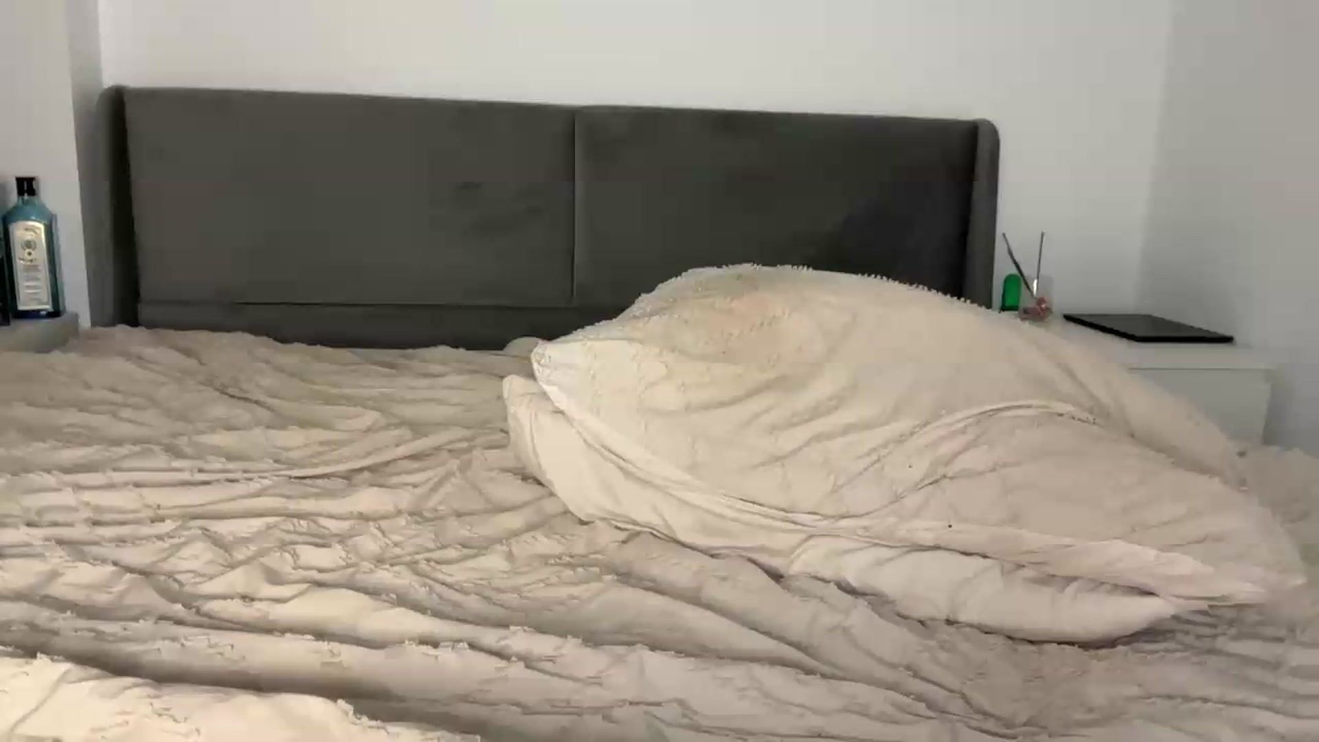 Gallery image thumbnail from Sweetylinaa's myfreecams stream on, 06/13/2026, 20:46 image 3 of 20