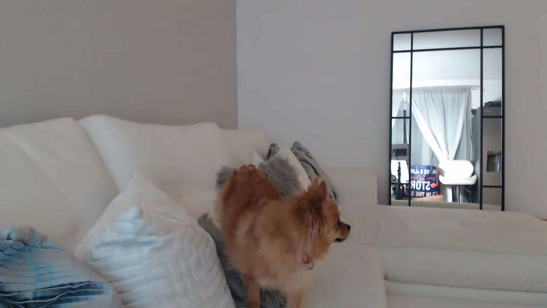 Gallery image thumbnail from SxybrtishMILF's myfreecams stream on, 11/15/2022, 17:24 image 5 of 20