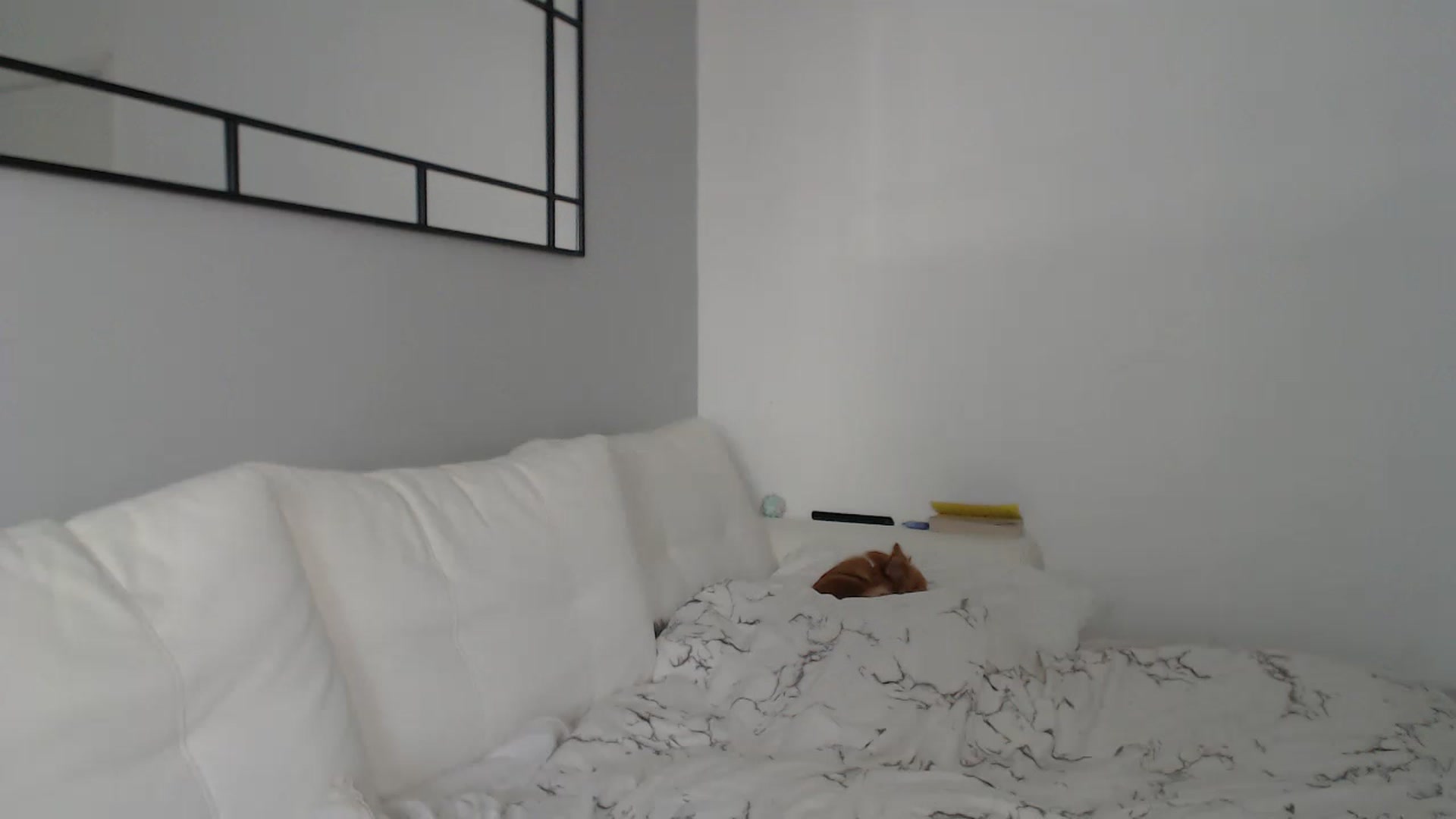 Gallery image thumbnail from SxybrtishMILF's myfreecams stream on, 01/03/2023, 10:01 image 18 of 20