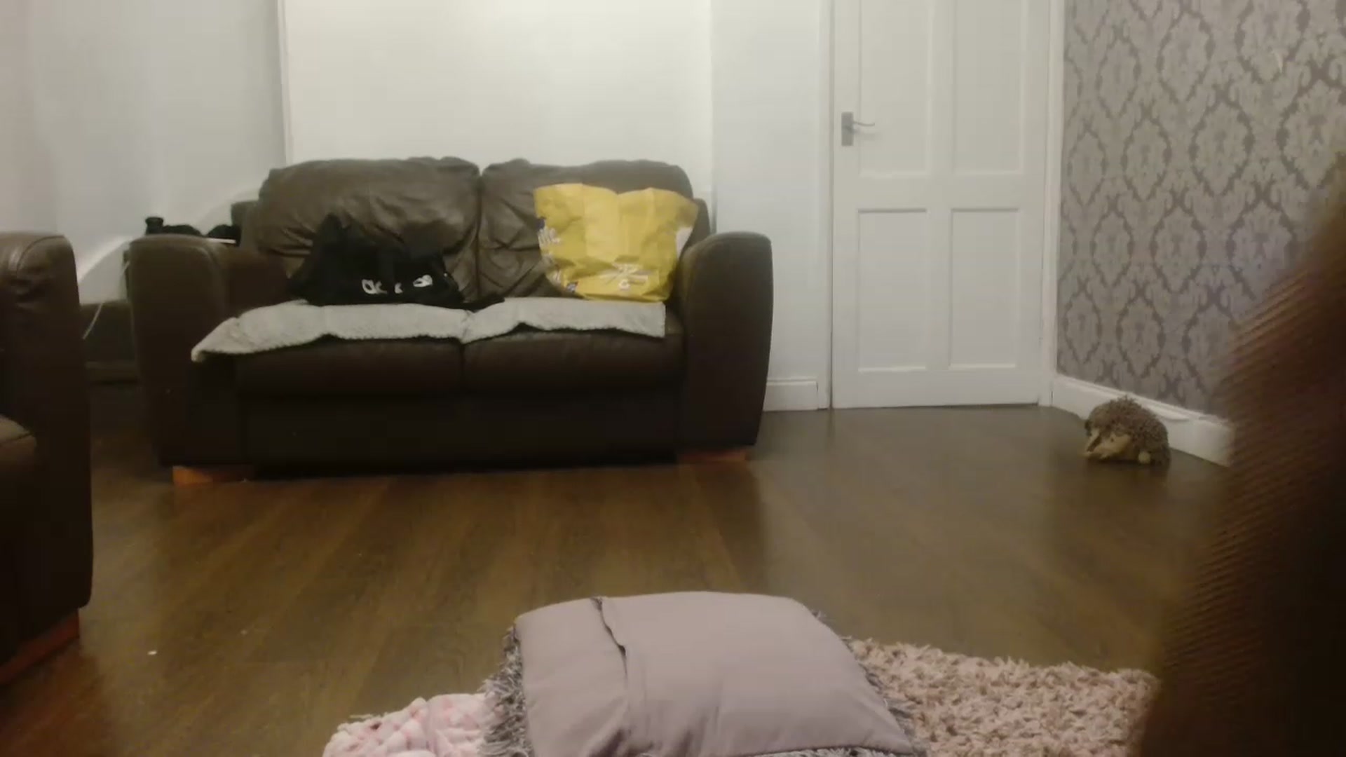 Gallery image thumbnail from TBritishDoll's myfreecams stream on, 11/19/2022, 23:37 image 9 of 20