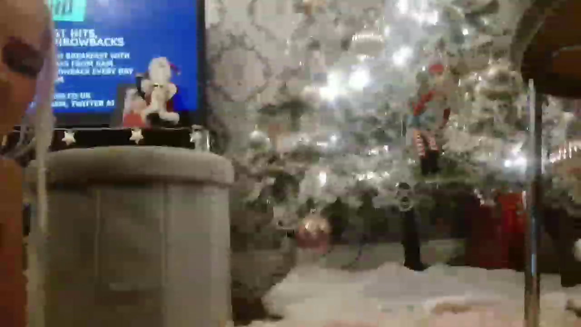 Gallery image thumbnail from TBritishDoll's myfreecams stream on, 12/09/2022, 19:54 image 14 of 20