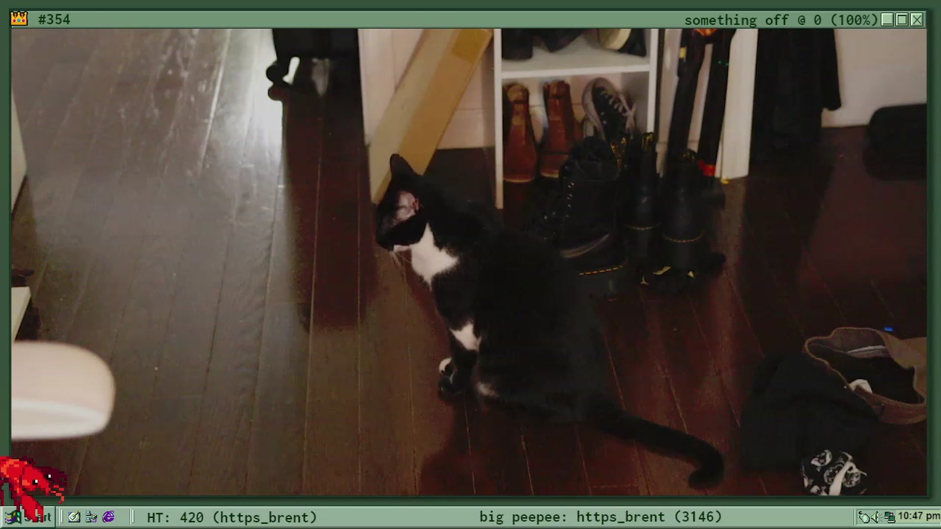 Gallery image thumbnail from TERRA's myfreecams stream on, 01/14/2023, 03:56 image 20 of 20