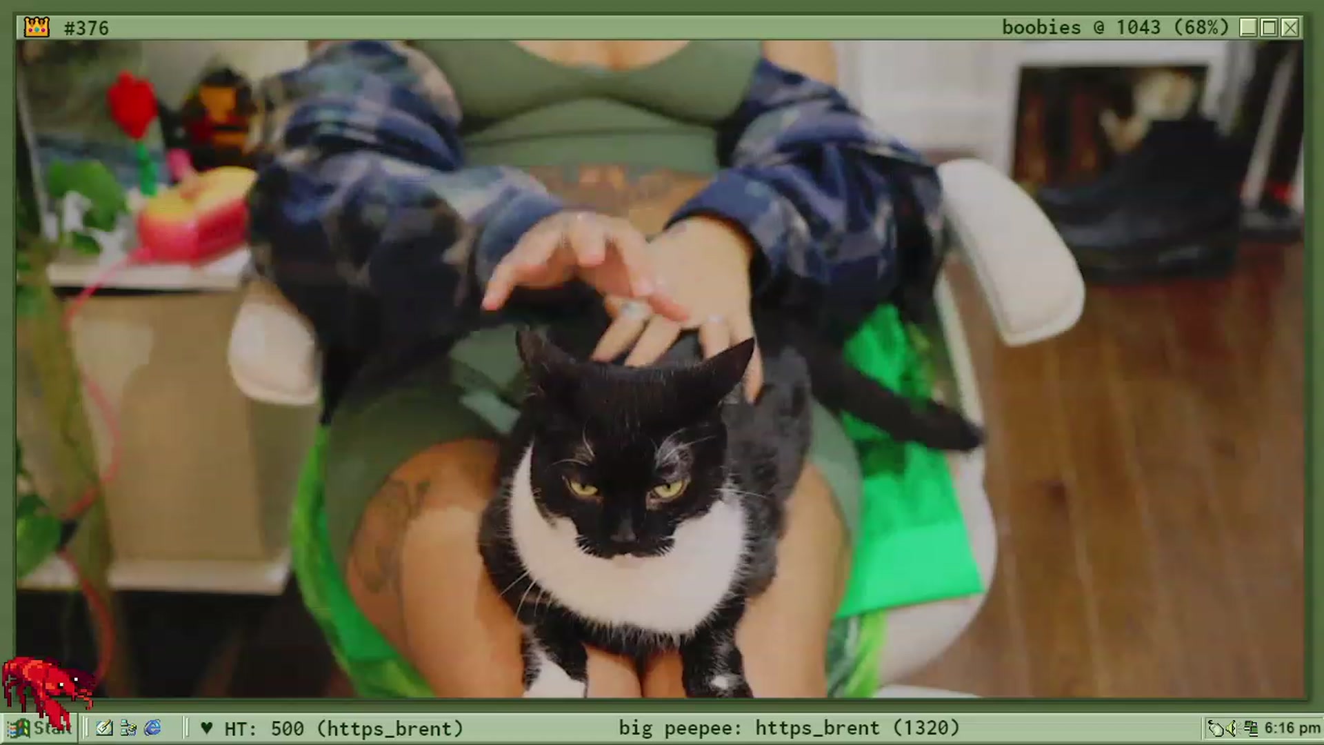 Gallery image thumbnail from TERRA's myfreecams stream on, 01/25/2023, 23:41 image 18 of 20