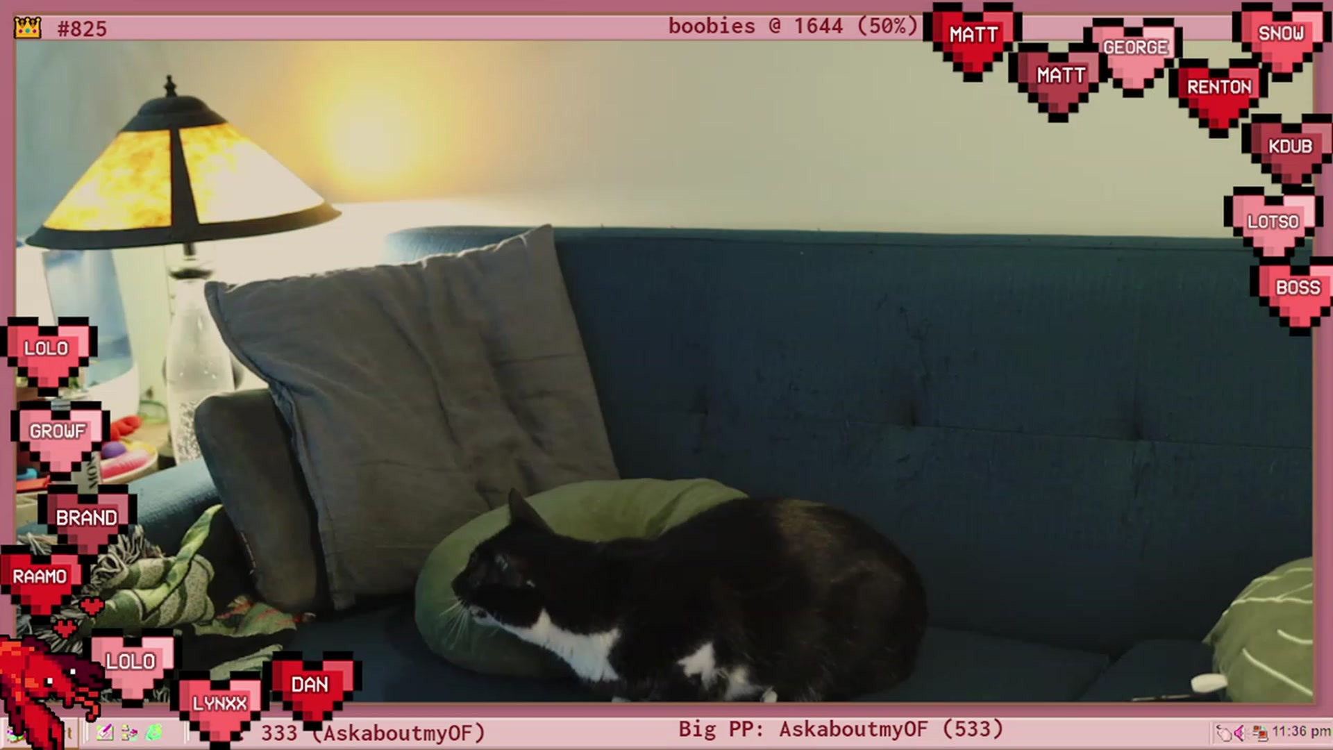 Gallery image thumbnail from TERRA's myfreecams stream on, 02/25/2023, 04:45 image 19 of 20