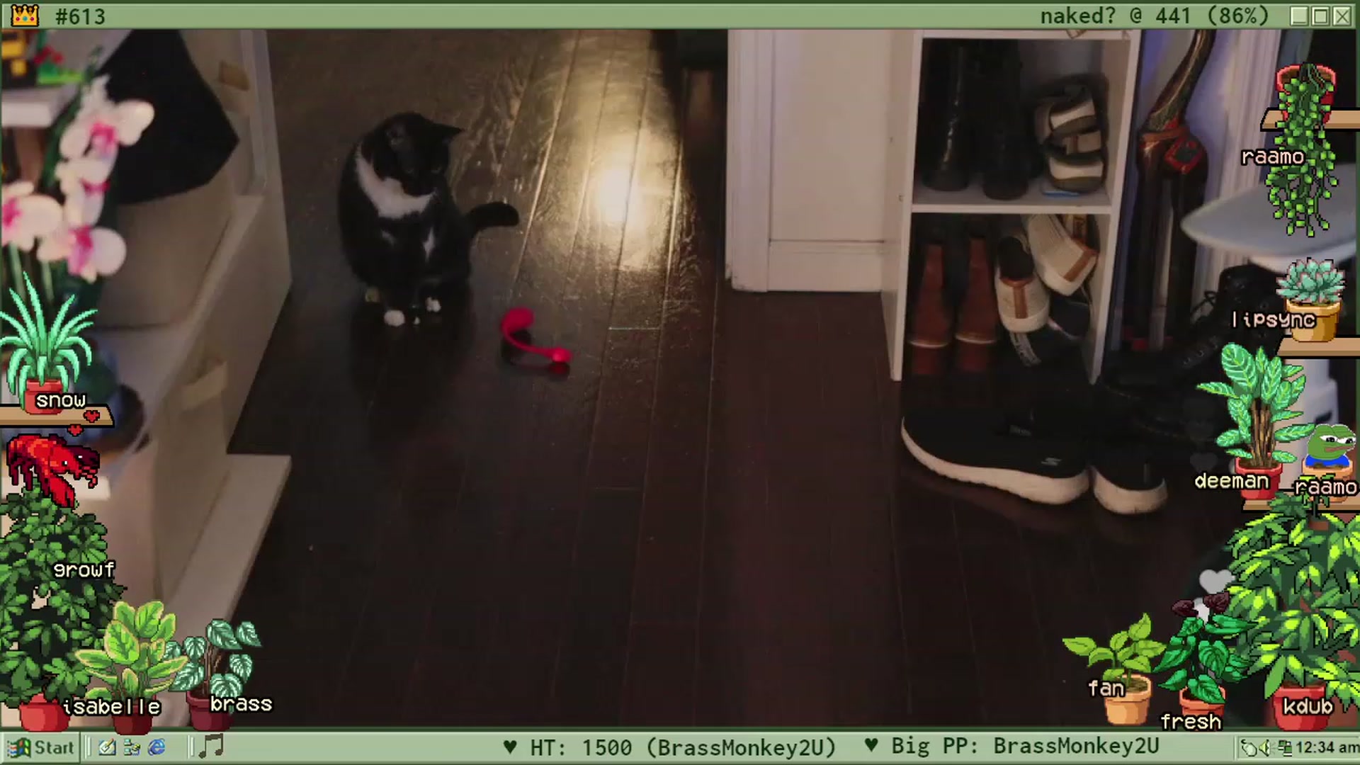 Gallery image thumbnail from TERRA's myfreecams stream on, 06/10/2023, 04:57 image 4 of 20