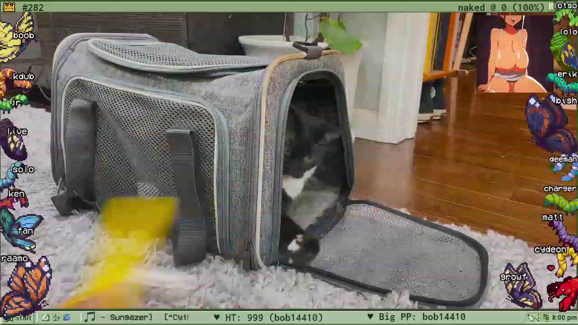 Gallery image thumbnail from TERRA's myfreecams stream on, 08/31/2023, 24:12 image 20 of 20
