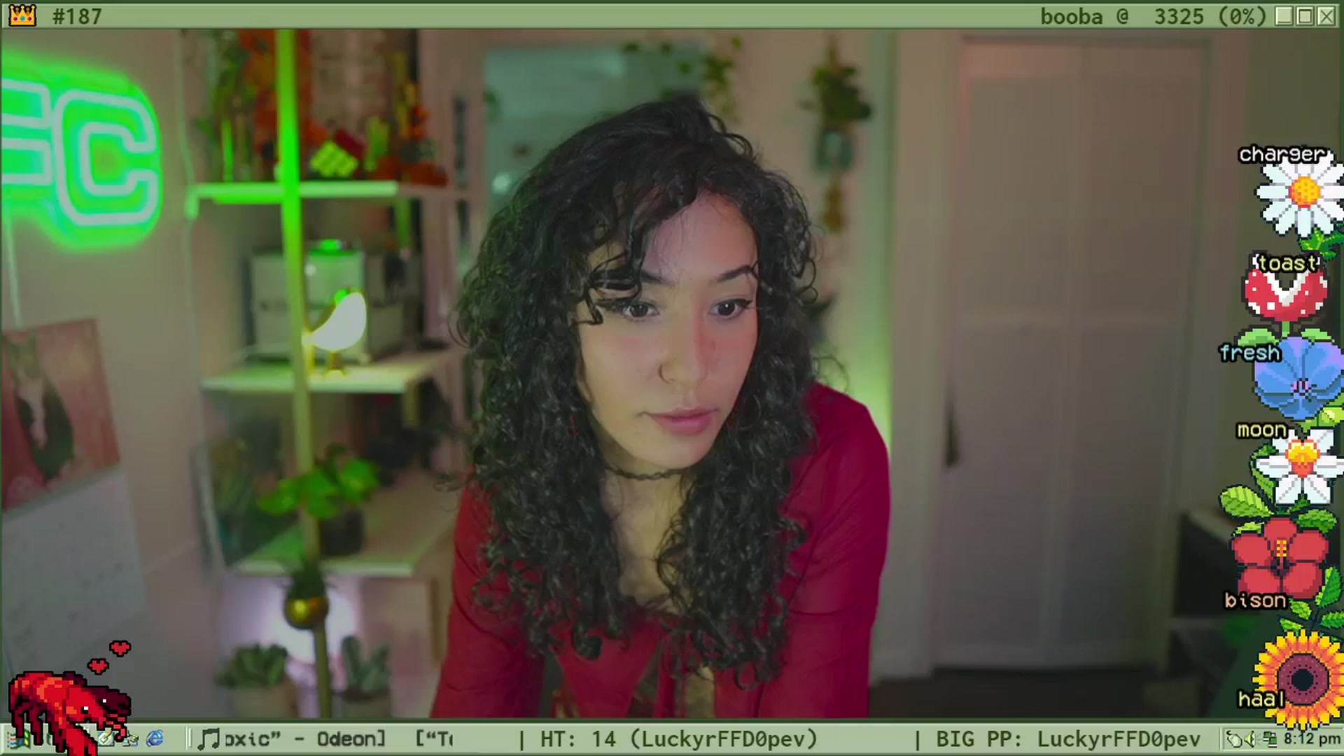 Gallery image thumbnail from TERRA's myfreecams stream on, 05/31/2024, 03:38 image 1 of 20